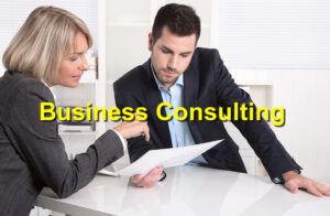 Business Consulting