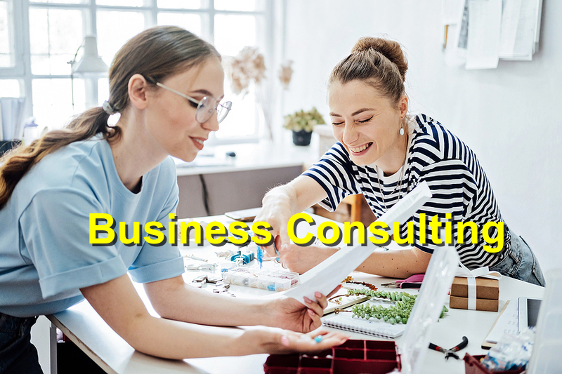 Strategic Business Consulting